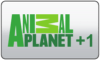 ARG| ANIMAL PLANET