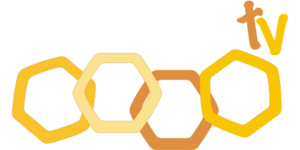 TY| ALCARRIA TV ᴿᴬᵂ