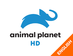 ES| ANIMAL PLANET HD