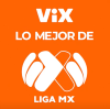 VIX| LO MEJOR DE LIGA MX ᴿᴬᵂ