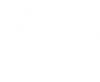 PRIME| DON'T TELL THE BRIDE ᴿᴬᵂ